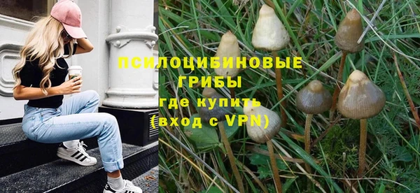 круглые Абаза