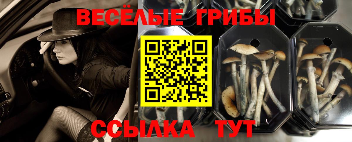 Галлюциногенные грибы мухоморы  Вход с VPN  Якутск 