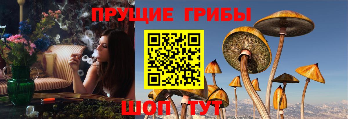 Галлюциногенные грибы прущие грибы Якутск